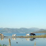 Idyll i Grunnarvågen